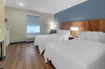 Studio Suite - 2 Queen Beds
