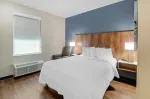 Studio Suite - 1 Queen Bed