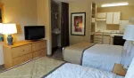 Studio Suite - 2 Full Beds
