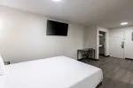 1 Bedroom Suite - 1 Queen Bed