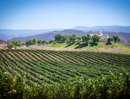 Winery in Temecula, CA