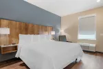 Studio Suite - 1 King Bed
