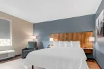 Studio Suite - 1 King Bed