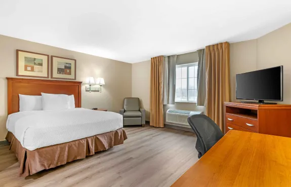 Studio Suite - 1 Queen Bed