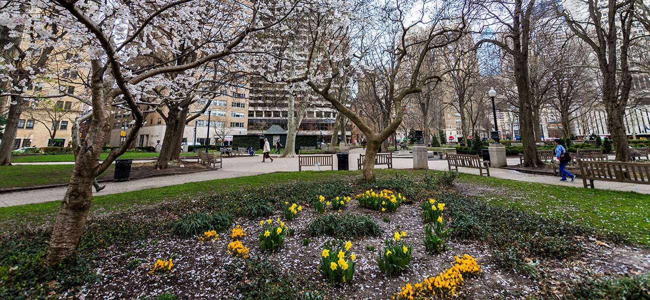 Flowers and walkways in Rittenhouse Square.