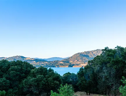 Image of trees and a lake in Ukiah, CA