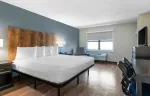 1 Bedroom Suite - 1 King Bed