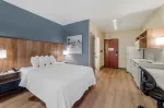 Studio Suite - 1 Queen Bed