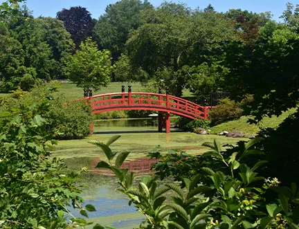image of a bridge in Somerset, NJ