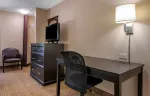 Studio Suite - 2 Queen Beds