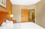 1 Bedroom Suite - 1 King and 1 Queen Bed
