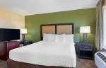 1 Bedroom Suite - 1 King Bed