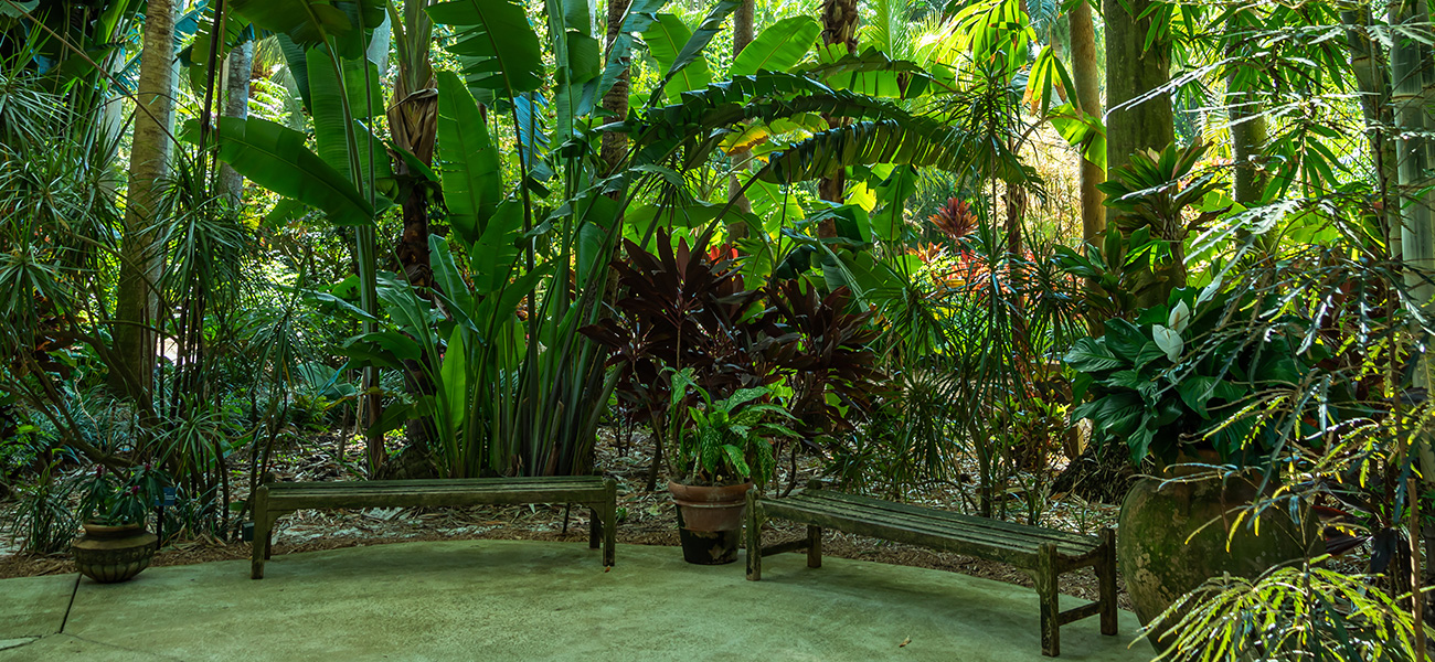 The Sunken Gardens.