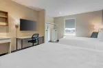 Studio Suite - 2 Queen Beds