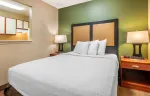 Deluxe Studio - 1 Queen Bed