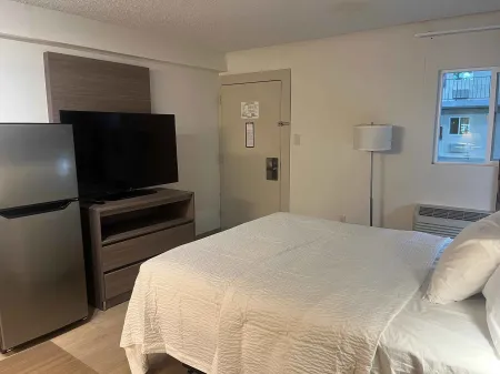 Studio Suite - 1 Queen Bed
