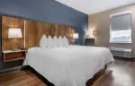 Studio Suite - 1 King Bed