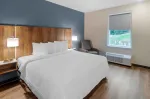 Studio Suite - 1 King Bed