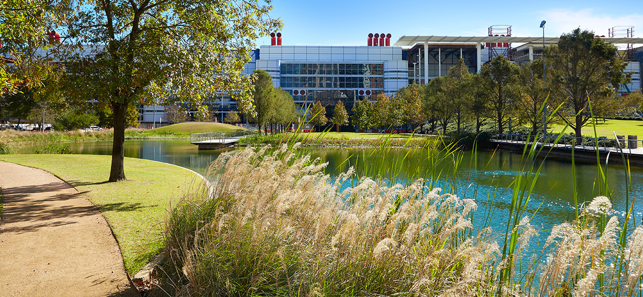 Greenery and pond at the Discovery Green.