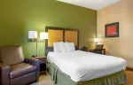 Studio Suite - 1 Queen Bed