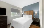 1 Bedroom Suite - 1 Queen Bed
