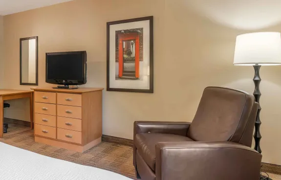 Studio Suite - 1 Queen Bed