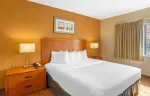 1 Bedroom Suite - 1 King and 1 Queen Bed