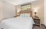 1 Bedroom Suite - 1 King Bed