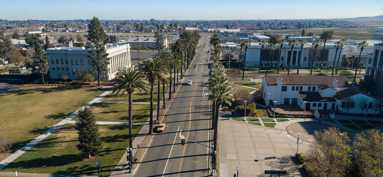 Palm tree-lined street in Fairfield.