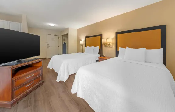 Deluxe Studio - 2 Full Beds