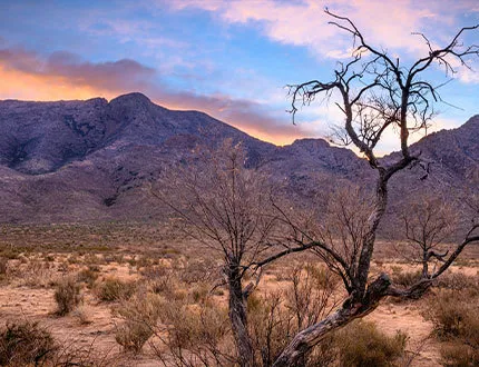 Las-cruces-nm-thumbnail.jpg
