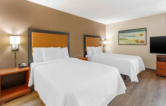 Studio Suite - 2 Full Beds