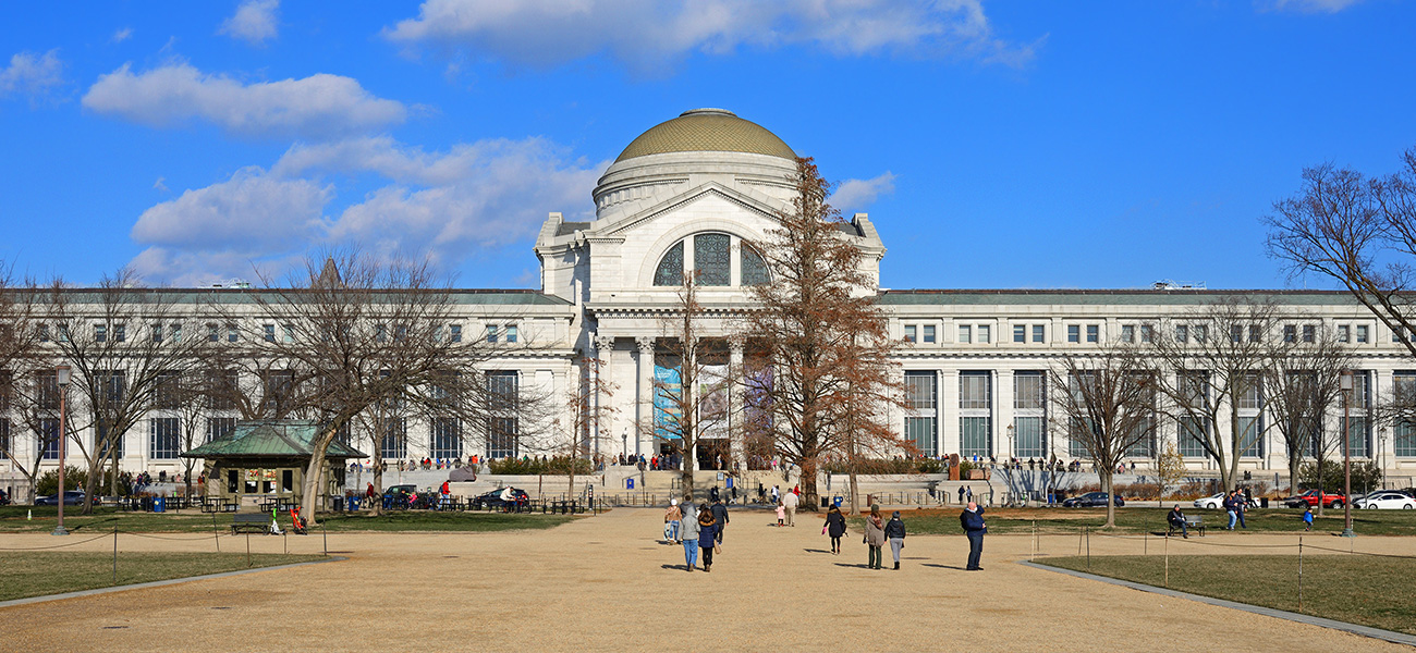 Smithsonian museum.