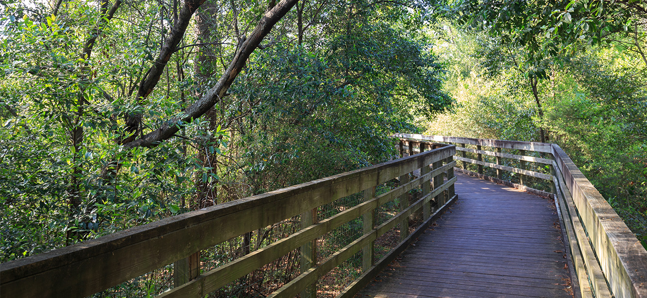 Pathway at the Houston Arboretum and Nature Center.
