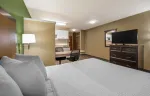 Studio Suite - 1 Queen Bed