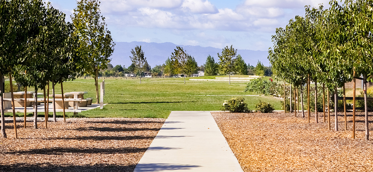 View at the Martial Cottle Park.