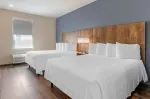 Studio Suite - 2 Queen Beds
