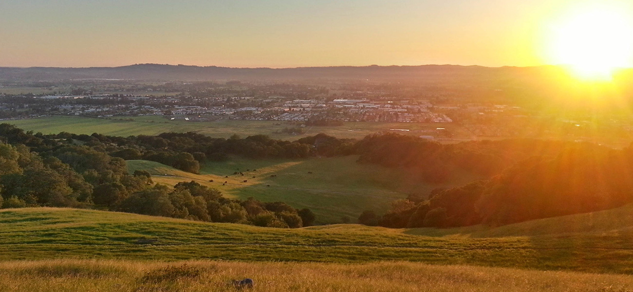 Hillside at sunset
