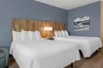 Studio Suite - 2 Queen Beds