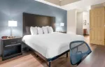 Executive Suite, 1 Bedroom - 1 Queen Bed