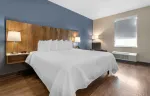 Studio Suite - 1 King Bed