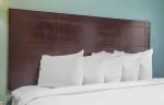 1 Bedroom Suite - 1 Queen Bed