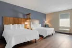 Superior Studio - 2 Full Beds